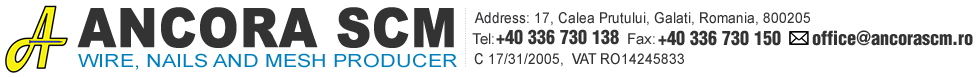 Ancorea SCM Ancora SCM